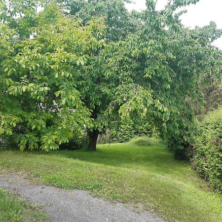 Ferienwohnung-Vivienne Hemfurth-Edersee Esterno foto